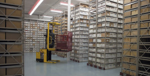 Rousseau Warehouse Retention